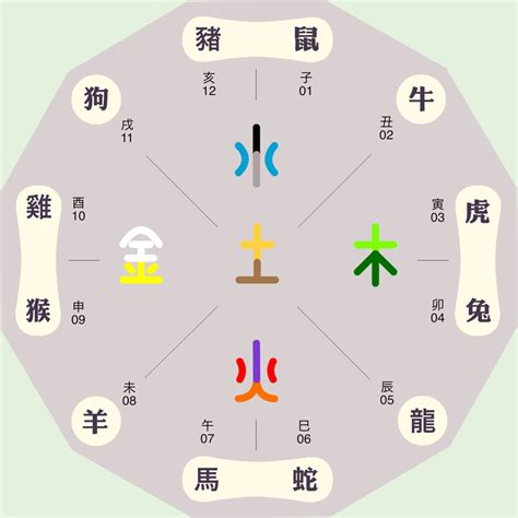 三字五行|三字五行属什么